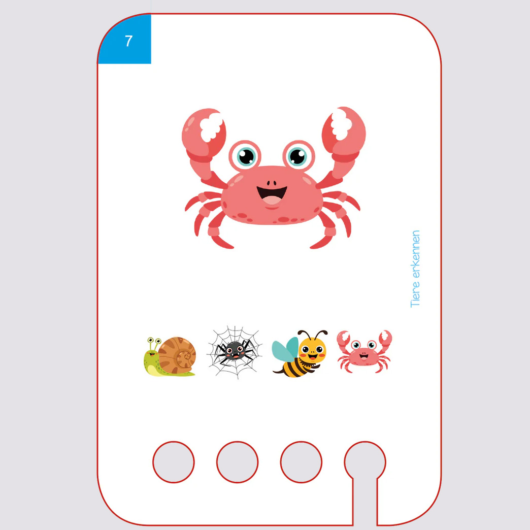 Lochkasten Starterset für 2-Jährige Lochkasten Starterset für 2-Jährige