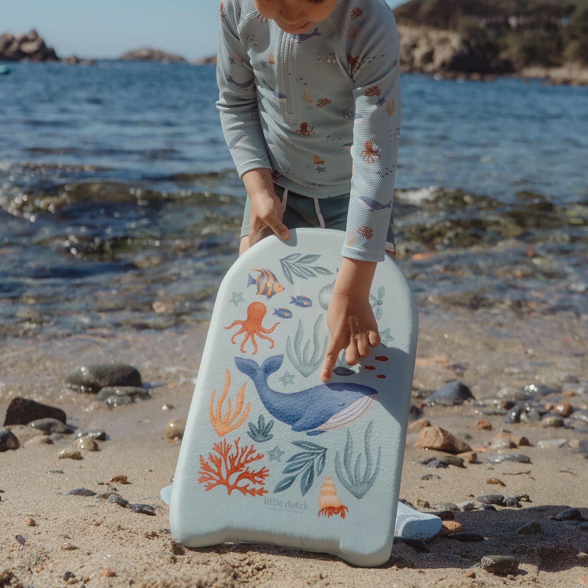 Bodyboard Ocean World