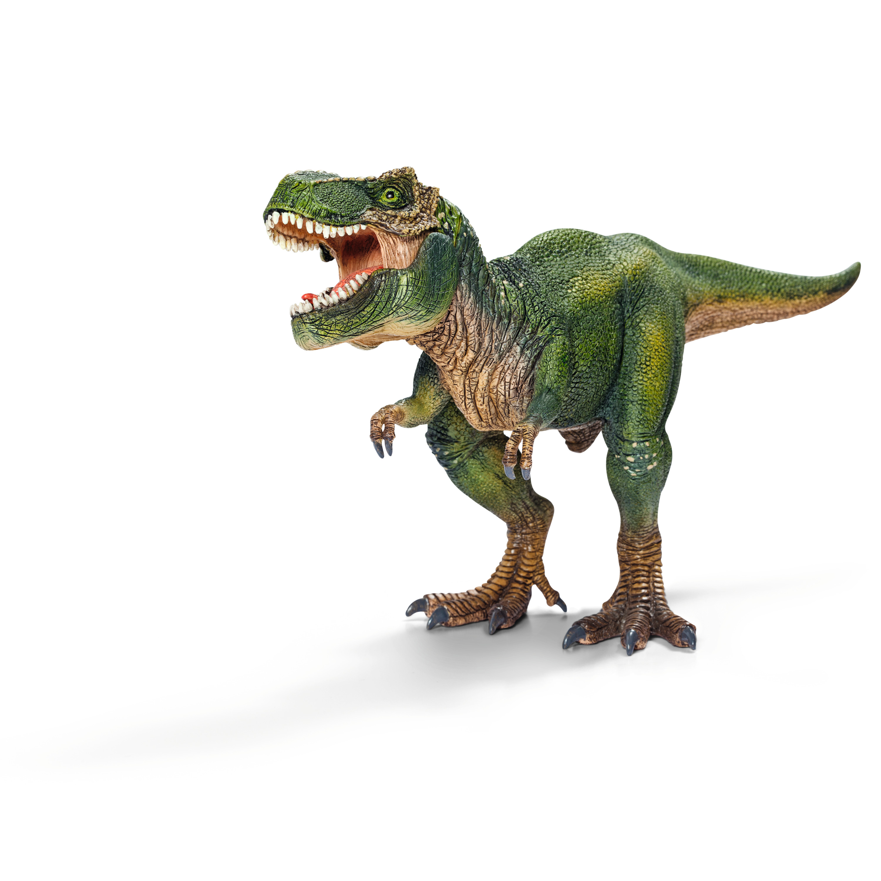 Tyrannosaurus Rex