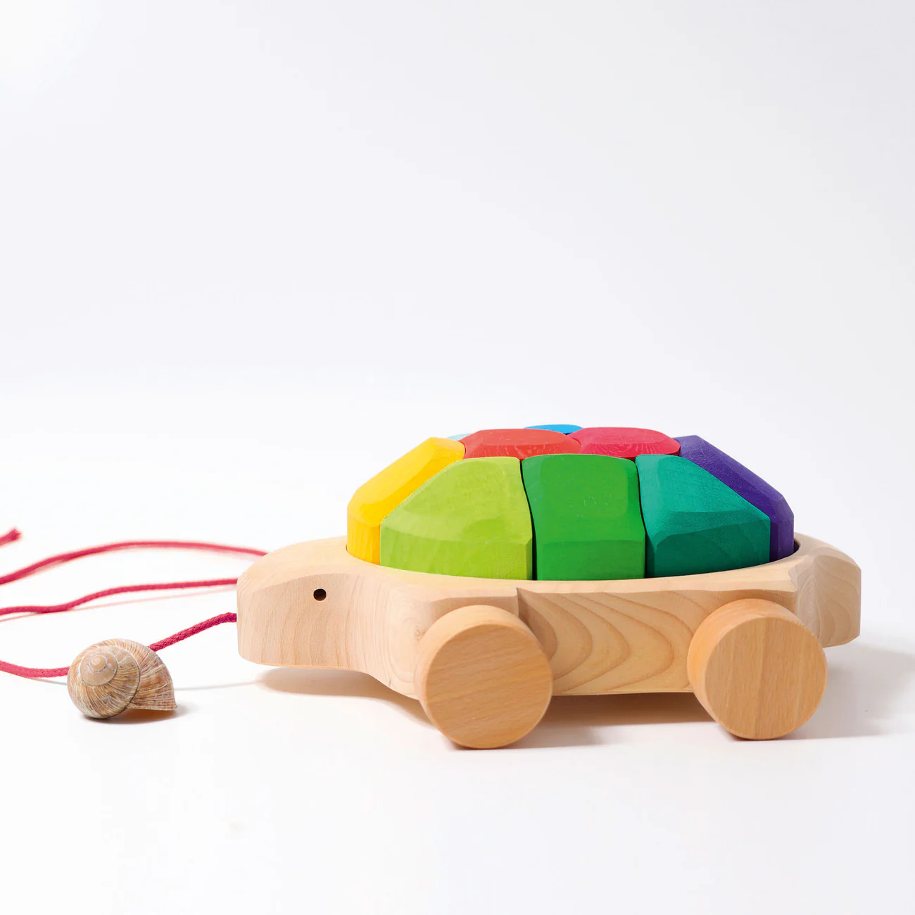 Regenbogen Schildkröte Regenbogen Schildkröte