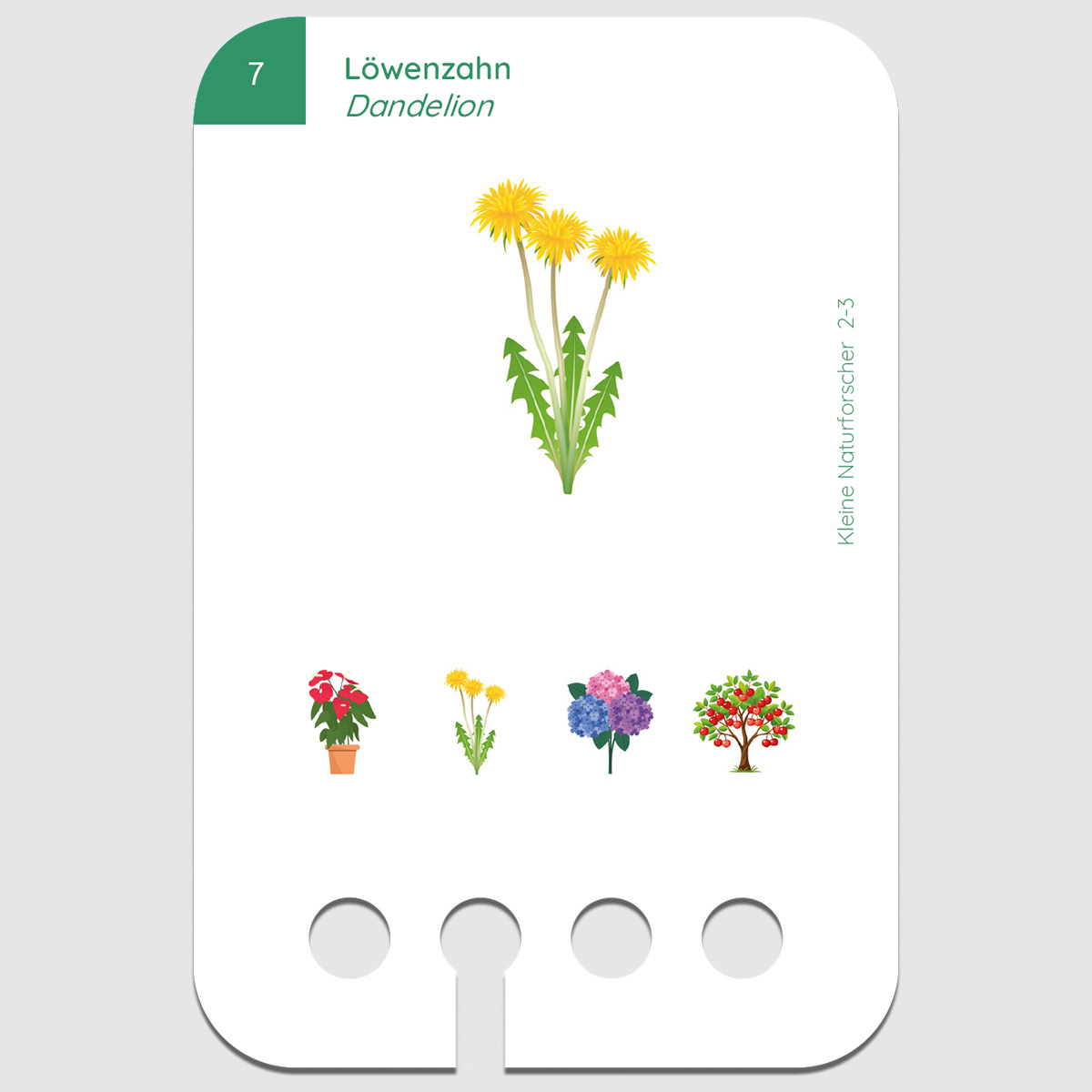 Lochkasten Kartensatz 2-3 Kleine Naturforscher Lochkasten Kartensatz 2-3 Kleine Naturforscher