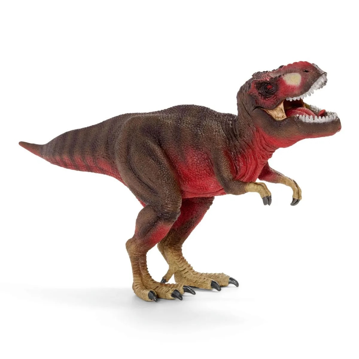 Tyrannosaurus Rex Rot