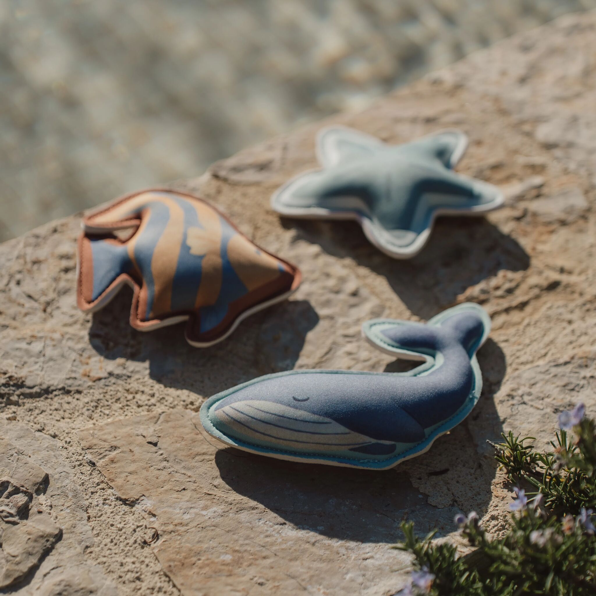 Tauchtiere Ocean World